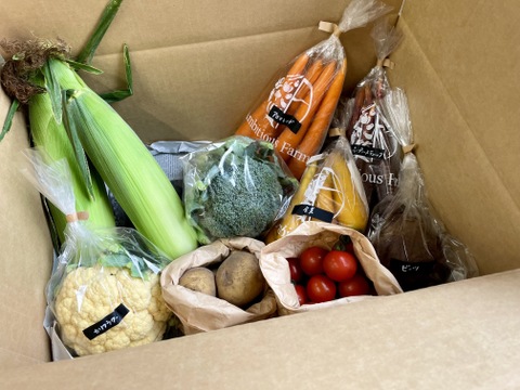 【北海道から旬の野菜を直送】季節の彩り野菜セット　Sサイズ