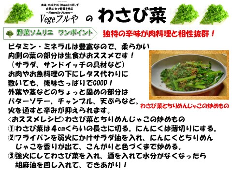 農薬未使用！旬の採れたて新鮮野菜おまかせ小セット（５～７品目）