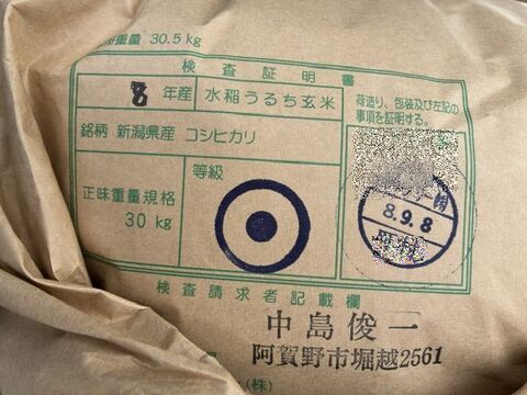 米とぎ不用な新米　令和8年新潟県産　従来種コシヒカリ【無洗米】5kg×２個　　店頭で入手するのは難しい希少米です。　★農家直送★色彩選別済（栽培が難しく、手間がかかるお米）