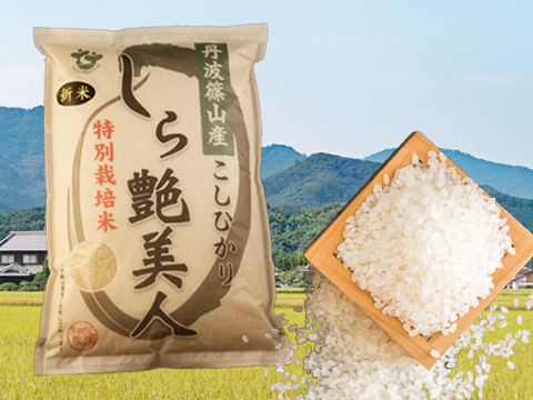 お米マイスターが作る旨みたっぷりの丹波篠山米こしひかり5㎏【R1年産】