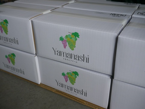 【数量限定】大地の恵み大粒ブレッシングシャインマスカット２房