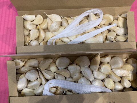 【わけあり品・数量限定】青森県産ホワイト六片種にんにく バラ 1kg(500g×2箱)【小粒のみ】