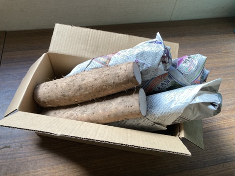 長芋切り芋2キロ