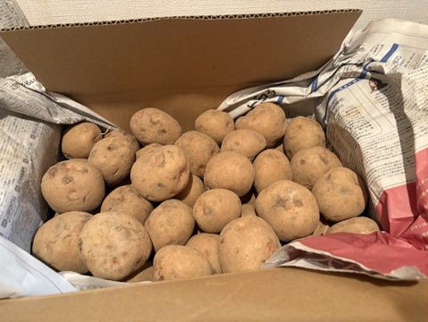 訳アリ氷温熟成じゃがいも　キタアカリ　10㎏
