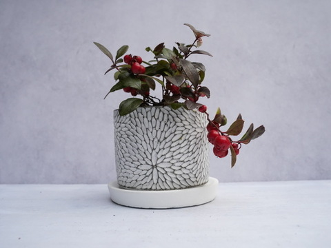ミニ盆栽【チェッカーベリー × 白花模様陶器】高さ約17cm×横約15cm【夜市限定】
