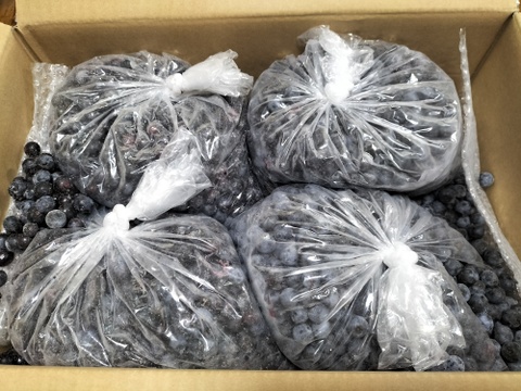 冷凍ブルーベリー4kg【訳あり：小中粒】：栃木県産のブルーベリー