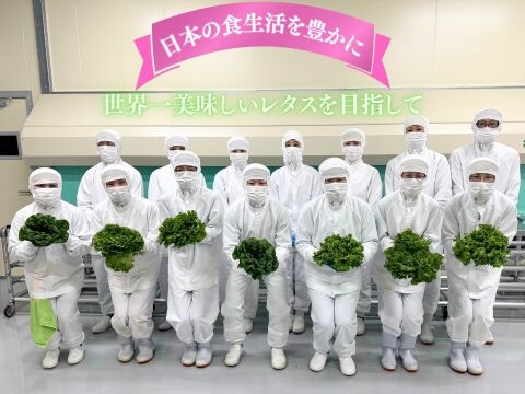 洗わずすぐに食べられる安心品質！
ビタミンA約9倍、β-カロテン約10倍の栄養満点レタス。
栽培期間中農薬不使用・完全閉鎖型水耕栽培で育てた、自信作。