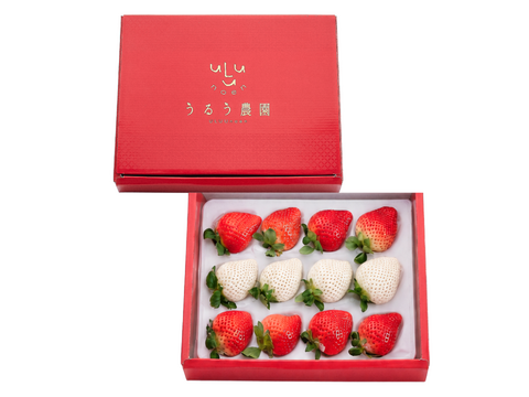 【予約販売 2026年11月下旬～順次発送】紅白特選あまおう 400ｇ ギフト お歳暮
