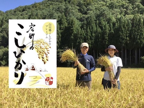 令和５年産 甘くてもっちり♪戸ヶ野のこしひかり10㎏ 白川郷で初の金賞受賞米！