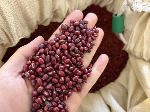 訳あり！エリモ小豆(900g) オーガニック(有機)小豆 北海道十勝 2025年産