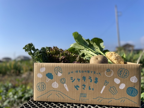 【榛名山の麓から】冬のシャキうま旬野菜セット・ちょうどいいサイズ！＜8品目＞