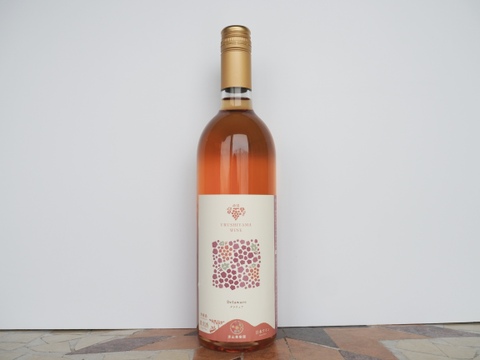 【贈り物や特別な日に】漆山果樹園ワイン750ml×3本セット