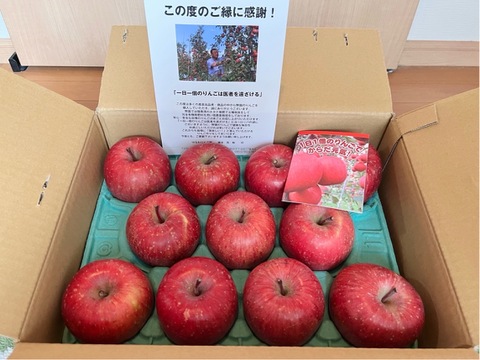 🍎青森県産『サンふじ』家庭用 3㎏(7玉～12玉)