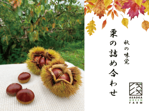 【数量限定】秋の味覚　たっぷり栗の詰め合わせ    1kg×2袋