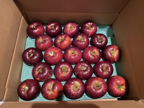 食べ切りサイズ！秋映（家庭用小玉）5ｋｇ