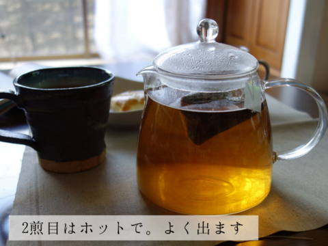 〈メール便〉夏のお茶くらべ2種各5g✖️10p　計20p　ほうじ茶NO.1 浅煎り、希少部位"真（ジン）"の水出し緑茶　ティーバッグ　静岡県産　春の一番茶　低カフェインで夜のリラックスタイムを