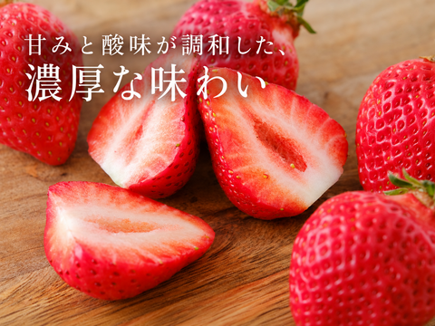【予約販売 2026年11月下旬～順次発送】いちごの王様！あまおう苺 人気サイズ 約250g～270g×4パック（約1080g） デラックス等級