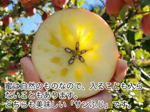 生玉農園一番人気の美味いりんご！ 綺麗な 葉とらず サンふじ 5キロ箱 12～18玉 信州りんご