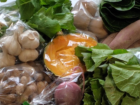 旬こそ命！旬のおすすめ野菜セット＊5品目以上～農薬/化学肥料・不使用