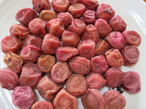 しその実　穂しそ　赤　農薬不使用