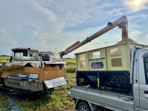 水輪のまちのお米【令和7年新米】ミルキークイーン玄米30kgキロ（精米