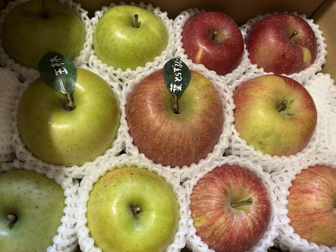 【冬ギフト】 🍎大人気🍏葉とらずふじ・王林  計9～15玉
詰め合わせ3キロ箱 ミックス ID118320