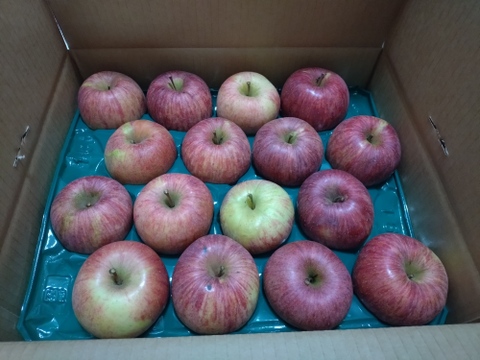 すぐ発送！農薬半減栽培葉取らず樹上完熟サンふじ5k16-23家庭用訳あり　蜜入りもあり❣️　りんご