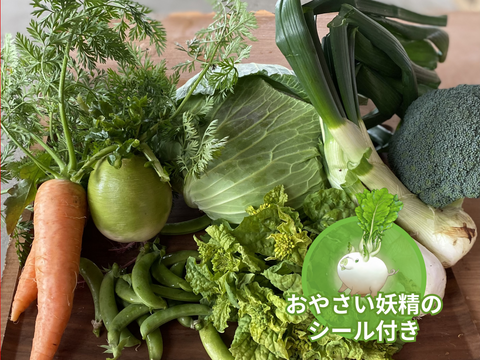 【食育やさいBOX】すくすく野菜セット