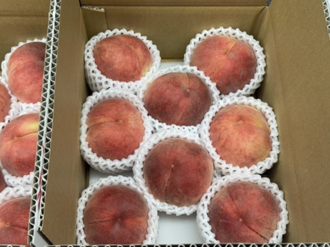 【数量限定お試し価格】桃 品種おまかせ　ご家庭用(訳あり品)  2kg