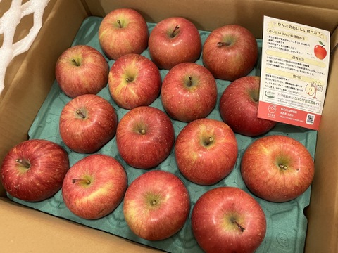 【王道サンふじ】　5㎏　13～20玉　本場青森りんご　農家直送　元気なりんご