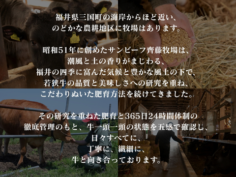 【牧場オーナー厳選】極旨 若狭牛食べ比べ 霜降りと赤身の贅沢極み焼肉盛り合わせ 600g （2-3人前）