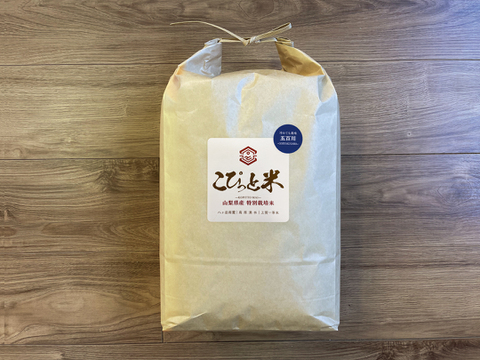 冷めても美味しい！【五百川】白米・10kg　特別栽培米　こぴっと米