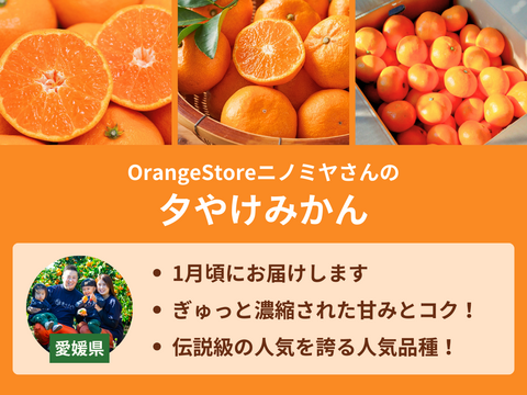 【販売終了】【限定400セット】温州みかん食べ比べ便（食べチョク公式）