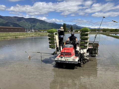 【令和７年産】栽培期間中農薬不使用　コシヒカリ　白米　２kg