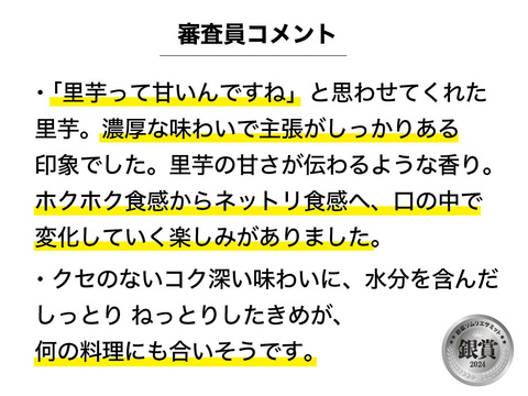 冬野菜Lセット9品目前後（農薬・化学肥料不使用）