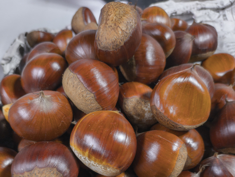 甘み熟成！ほくほく和栗1㎏ S～Mサイズ（約100粒）　皮がぽろっと簡単な「ぽろたん」小粒でも食べ始めると止まらない！ 【冷蔵クール便】