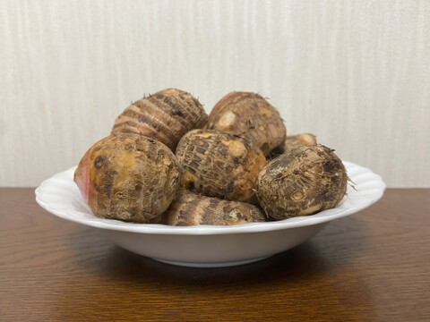 ☆ほくほく食感が魅力！赤芽里芋（セレベス）2Kg（子芋1.5kg、親芋0.5