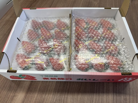 【完熟】JGAP認証食べ比べ2品種セット(2パック入り)千葉県産