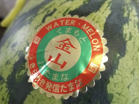 【幻】金山すいか 大玉  1玉 7kg～8kg