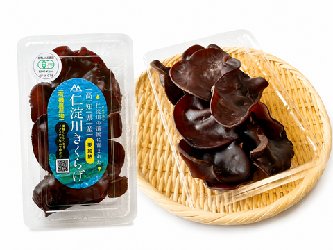 有機JAS認証 高知県仁淀川町産 生きくらげ 500g×1パック｜肉厚ぷりぷり・季節限定