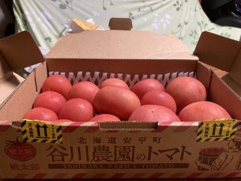 【北海道産】🍅樹上熟3段採り🍅桃太郎トマト 約2キロ箱〈訳あり品〉【朝どれ】