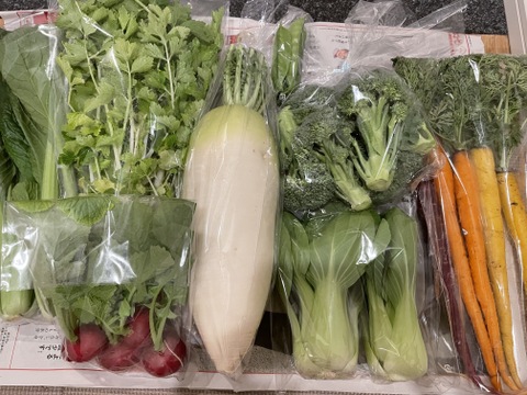 ＼シャキうま！／南房総の旬野菜セット！セレクトおまかせ【8品目】