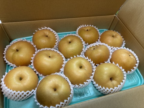 【家庭用】　梨　南水　5kg  長野県産