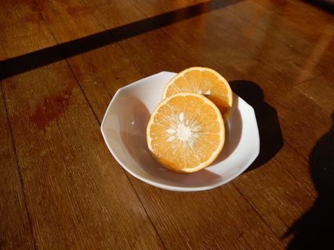 【香りさわやか 果汁たっぷり❕甘夏みかん ３ｋｇ】