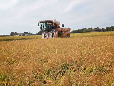 新潟県認証特別栽培米 ひとめぼれ精米5kg