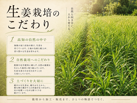 発酵生姜シロップ /木桶仕込み/生姜エキス100% /一本生姜300g使用