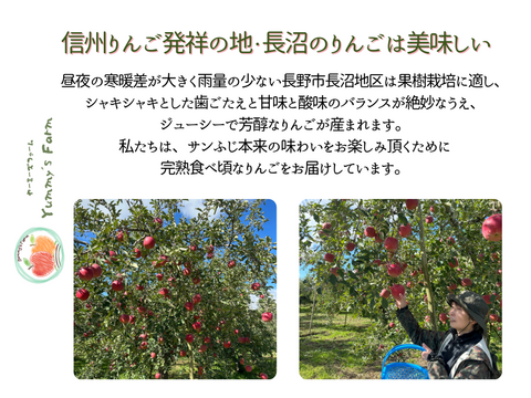 無添加！信州りんご発祥の地 長沼産 シナノドルチェ 100% 生産農家直送 りんごジュース ６本 長野県 化学肥料不使用 除草剤不使用 人にやさしく環境にもやさしい農産物