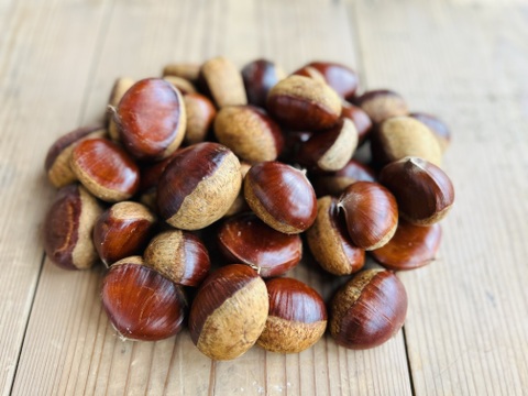 【新商品】自然栽培の生栗(紫峰・森早生・丹波栗などおまかせ)1kg