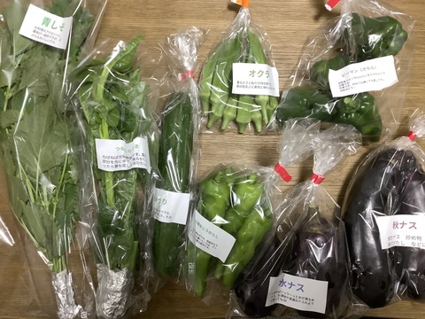 淡路島からお届けする新鮮野菜セット Sサイズ（6〜8品入り）