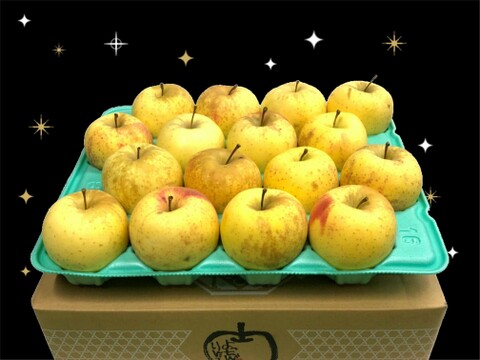 「希少!サン金星!! 」家庭用約4.5Kg青森県産　数量限定　りんご